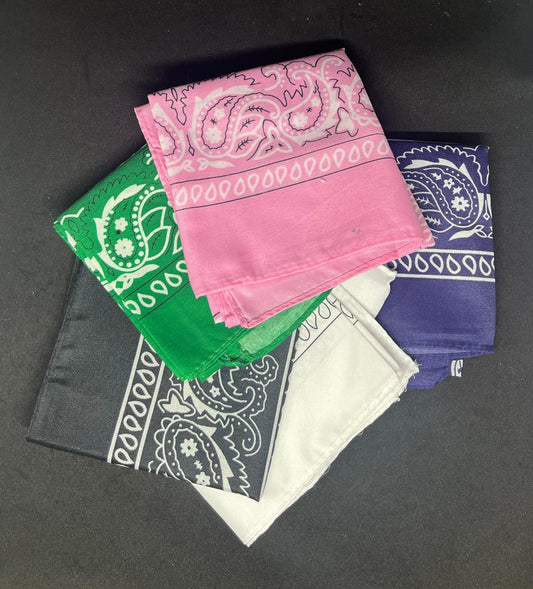 Pañuelos Bandana Estilo Clásico – Docena (12) Variada